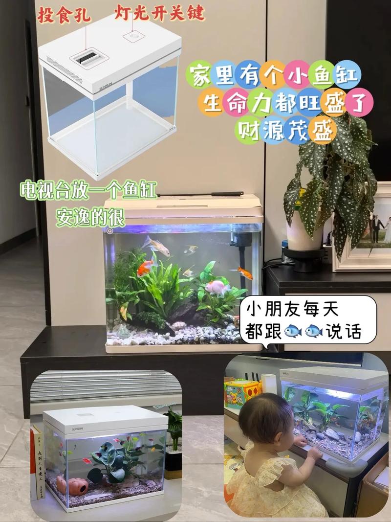 一方碧水間的自然盛宴 森森超白玻璃草缸生態(tài)魚(yú)缸的格調(diào)與魅力
